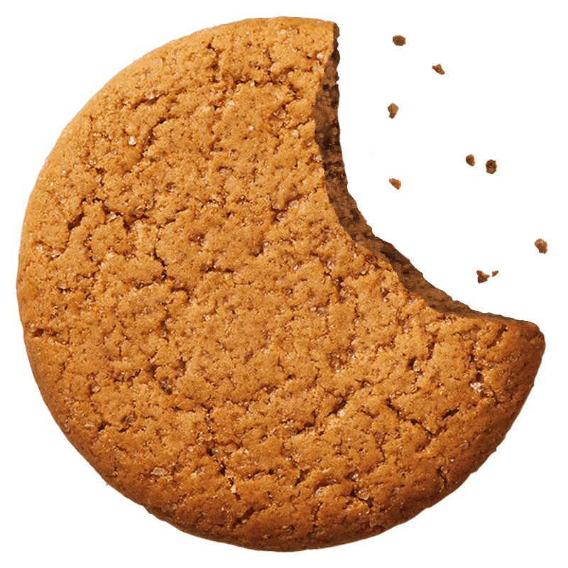 Gingernut with crumbs